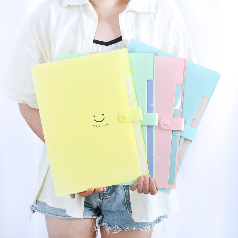 Korean 5-Pocket A4 Expanding F - Document Organizer Folder review and price