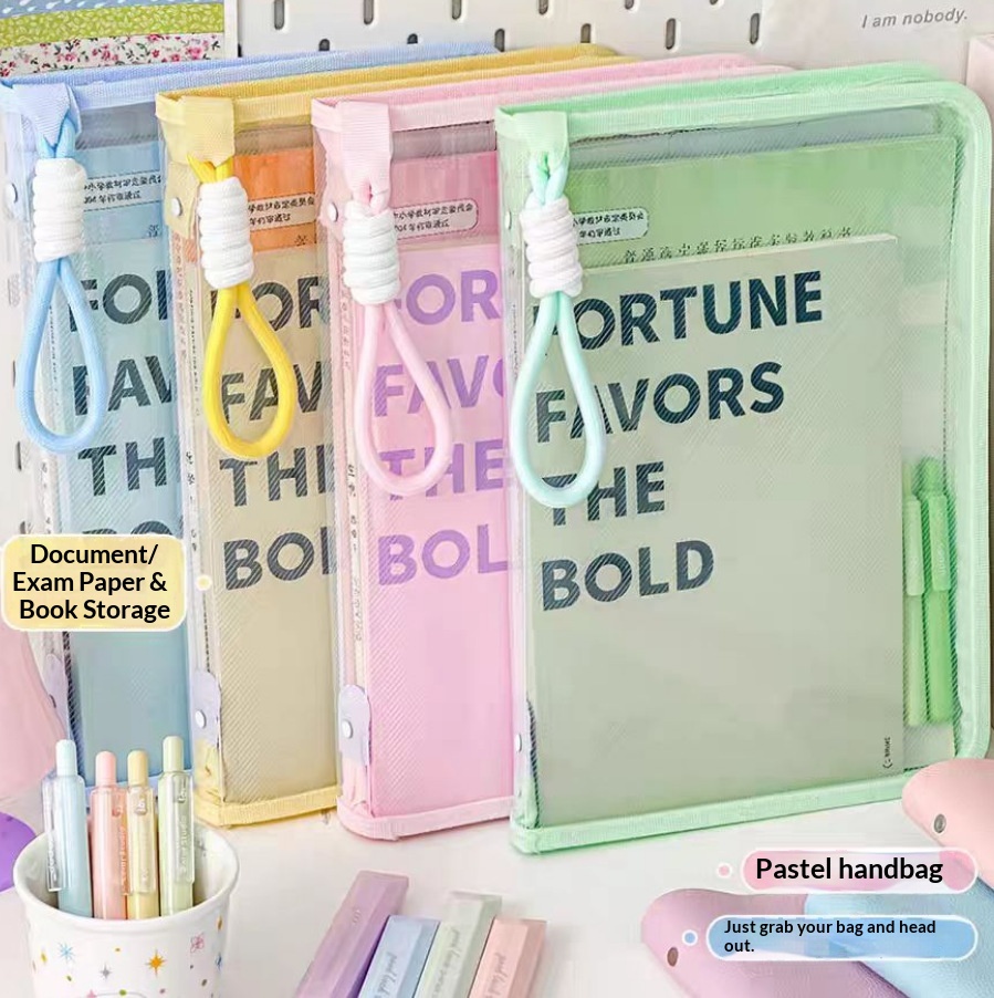 Document Bag Transparent with  - Document Organizer Folder review and price